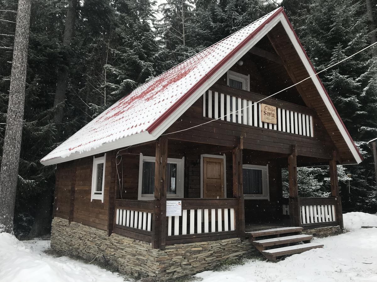 Chalet Sofia Borovets Buitenkant foto