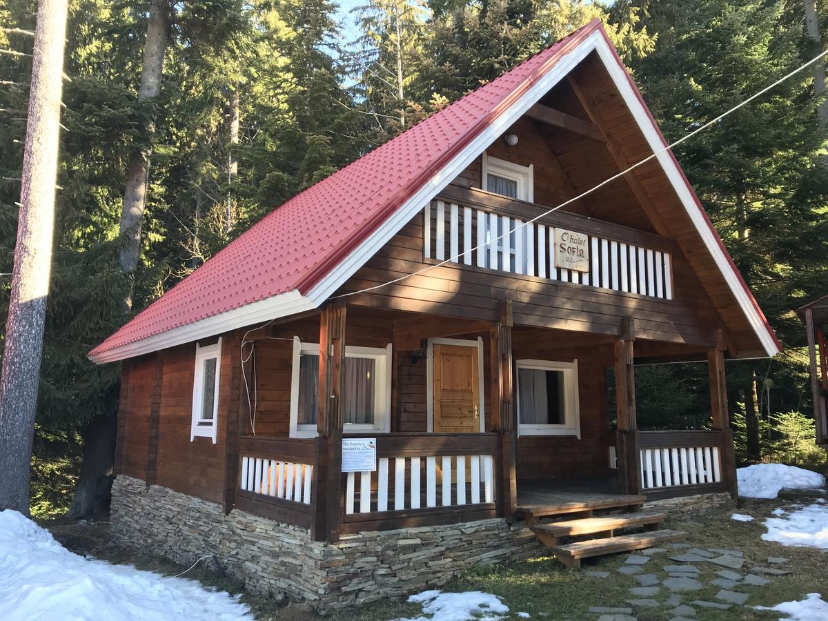 Chalet Sofia Borovets Buitenkant foto